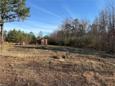 000 Mulberry Academy St, Franklinville, NC 27248 - photo 2