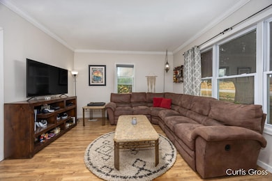 320 W Pine St NE, Cedar Springs, MI 49319 - photo 5