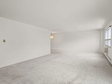 Golf Towers unit 2A, Des Plaines, IL 60016 - photo 4