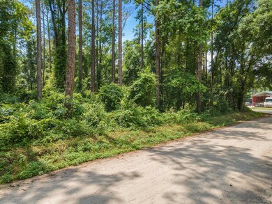 0 Naskapi St unit 358855, Crawfordville, FL 32327 - photo 2