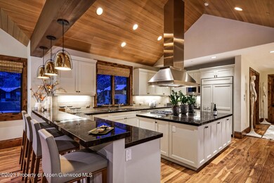 537 Race St unit L, Aspen, CO 81611 - photo 6