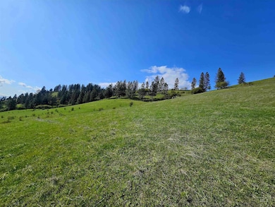 0 Dent Bridge Rd, Orofino, ID 83544 - photo 5