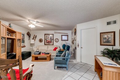 10650 W Pineaire Dr, Sun City, AZ 85351 - photo 5