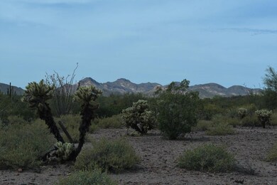 Goldfield Mountain views