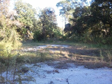 0000 Wycoff Ave, Jacksonville, FL 32205 - photo 2