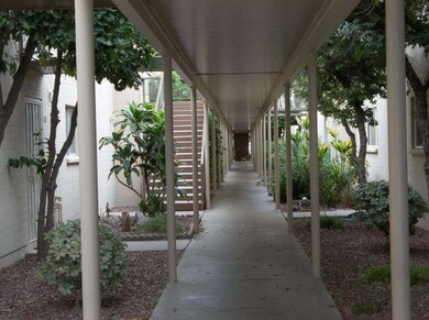 SHADED GROUND FLOOR UNIT