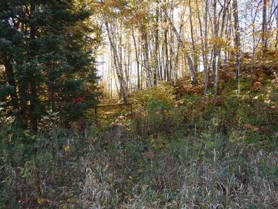 ON Foreman Rd unit 2.68 Acres, Deerbrook, WI 54424 - photo 3