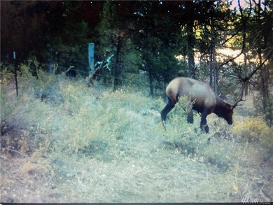 0 Pine Creek Rd unit 1745044, Bickleton, WA 99322 - photo 7