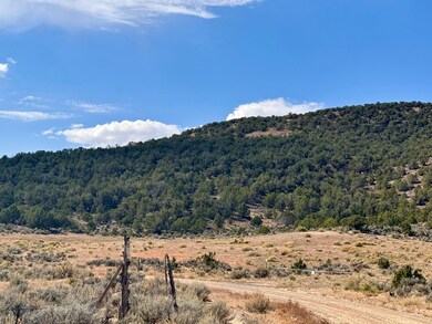 0 Horse Canyon Rd unit 22924872, de Beque, CO 81630 - photo 6