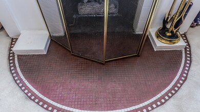 271 N Elm Ave, Elmhurst, IL 60126 - photo 5