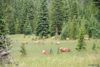 23 Eagle View Trail, Big Sky, MT 59716 - photo 2