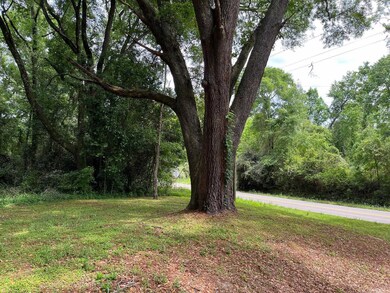 0 Old Magnolia Rd unit 370827, Tallahassee, FL 32309 - photo 5