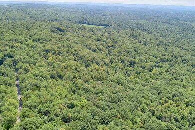 Lot 7 Stoneham Rd unit MAP 139 LOT 7, Wolfeboro, NH 03984 - photo 3