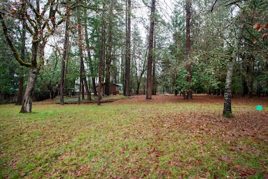 3754 New Hope Rd, Grants Pass, OR 97527 - photo 6