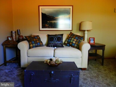 1541 Dellinger Gap Rd, Edinburg, VA 22824 - photo 5