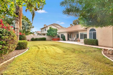 Backyard View
