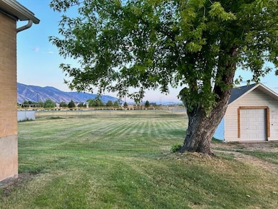 Side Yard