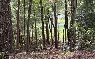 LT109 Fawn Way, Mineral Bluff, GA 30559 - photo 4