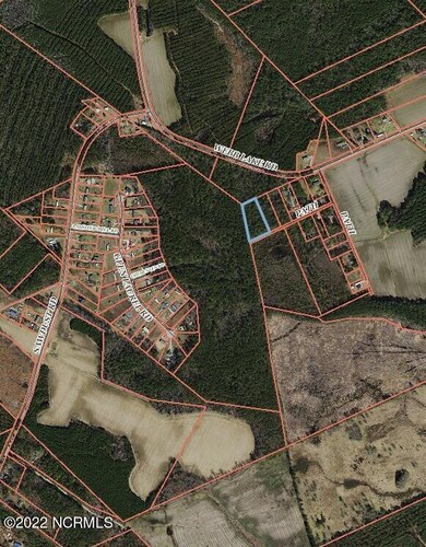 Wilson Cedar Glen Rd Cherry Run Tax Map3