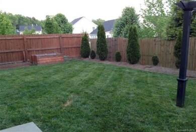 Back Yard from Summer