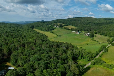 276 Dutton District Rd, Springfield, VT 05156 - photo 7