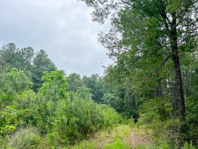 View of local wilderness