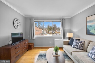 9732 Glen Ave unit 201, Silver Spring, MD 20910 - photo 5