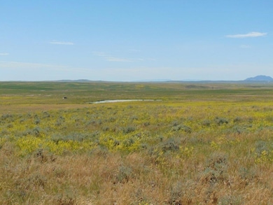 Tbd Wilder Trail, Roy, MT 59471 - photo 5