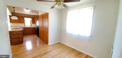 306 Olga Rd, Wilmington, DE 19805 - photo 6