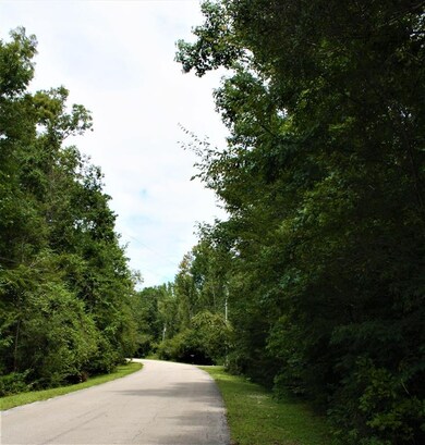 Lot 5 River Plantation Rd, Crawfordville, FL 32327 - photo 5