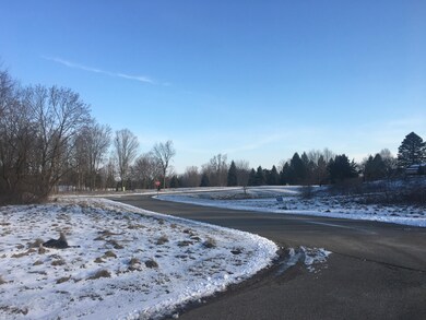 2 Bianca Way, Ionia, MI 48846 - photo 6