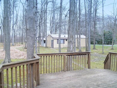 Back Yard 2