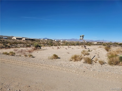 1045 Echo Dr, Meadview, AZ 86444 - photo 2