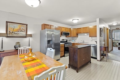 1017 Brookdale Dr unit 1017, Carpentersville, IL 60110 - photo 6