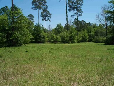 N Windsong Cir, Crawfordville, FL 32327 - photo 2
