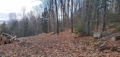 0 Birchcroft Dr, Littleton, NH 03561 - photo 6