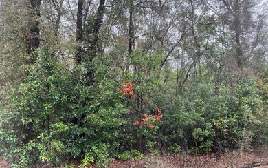 TBD 39th Dr, Branford, FL 32008 - photo 2