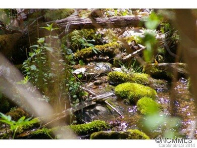 00 Roaring Fork Rd, Burnsville, NC 28714 - photo 4