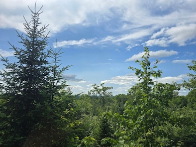 0 Ackley Pond Rd unit 5 24266409, Mount Chase, ME 04765 - photo 3