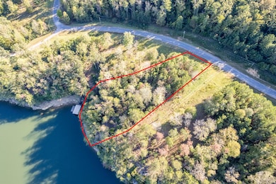 Aerial Lot Lines