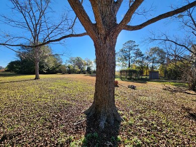 163 Merritt Rd, Sylvester, GA 31791 - photo 7