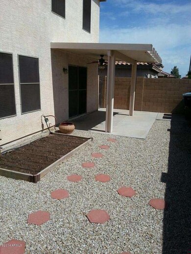 back yard