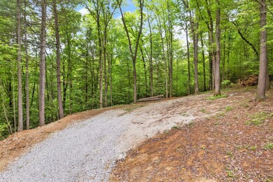 2-web-or-mls-DJI_0177