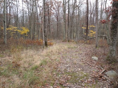 123 Parkwood Dr, Hawley, PA 18428 - photo 5