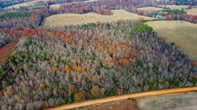 County Road 501, Lexington, AL 35648 - photo 3