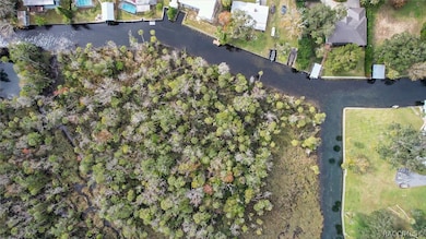 848 N Michael Brunn Point, Crystal River, FL 34429 - photo 6