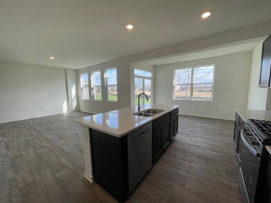 501 Monte Carlo Way, Joliet, IL 60436 - photo 3