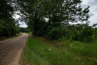 0 Sam Durr Rd, Prentiss, MS 39474 - photo 7