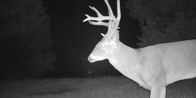 0 N Dobbs & E Wilshire unit 1204926, Harrah, OK 73045 - photo 7