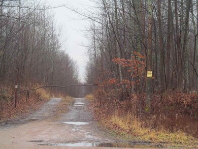 39.5 ON State Highway 52, Aniwa, WI 54408 - photo 5